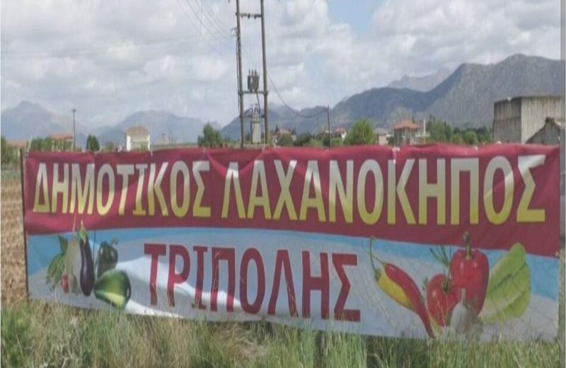 Ξεκινά τη λειτουργία του ο Δημοτικός Λαχανόκηπος Τρίπολης