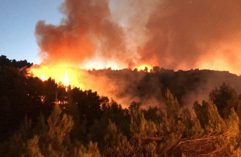 Πολύ υψηλός κίνδυνος πυρκαγιών στον Δήμο Τρίπολης (10/7/2024)