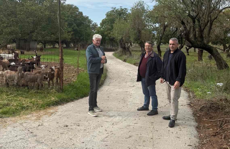 Κώστας Τζιούμης: “Συνεχίζουμε τις παρεμβάσεις με εργασίες τσιμεντόστρωσης στην ΔΕ Κορυθίου”