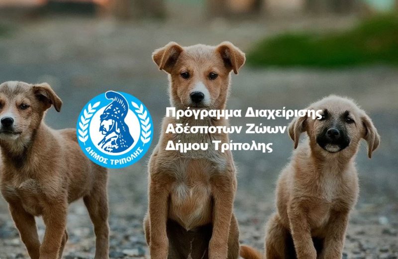 Ιωάννης Παπαδάτος: «Ενισχύουμε το μήνυμα της φιλοζωίας και της υπεύθυνης υιοθεσίας»