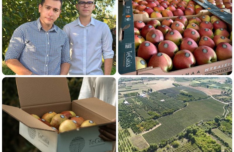 Ο Δήμος Τρίπολης «παράγει» επιχειρηματικότητα