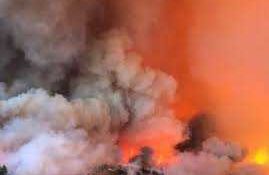 Πολύ υψηλός κίνδυνος πυρκαγιών (19/7/2024)