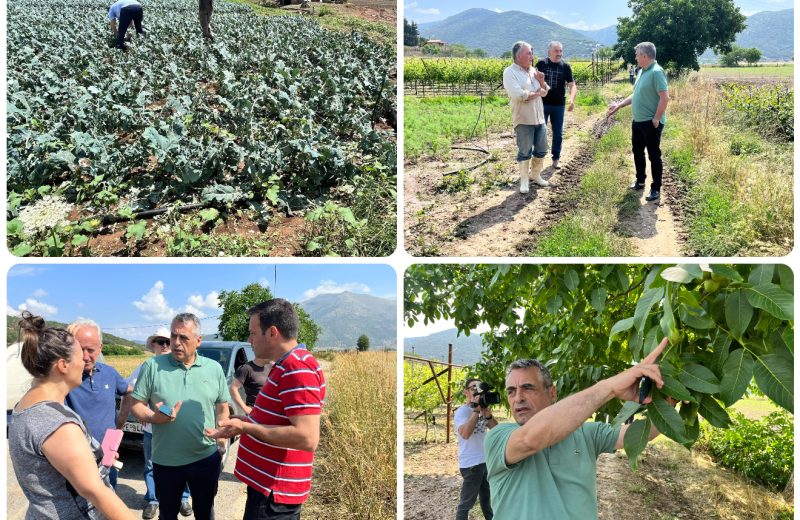 Κώστας Τζιούμης: «Η Πολιτεία οφείλει να σταθεί δίπλα στους αγρότες και τους κτηνοτρόφους μας...