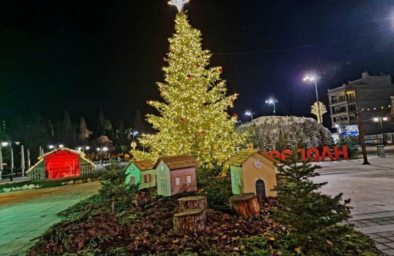 Ανακοίνωση για τα Χριστουγεννιάτικα δένδρα