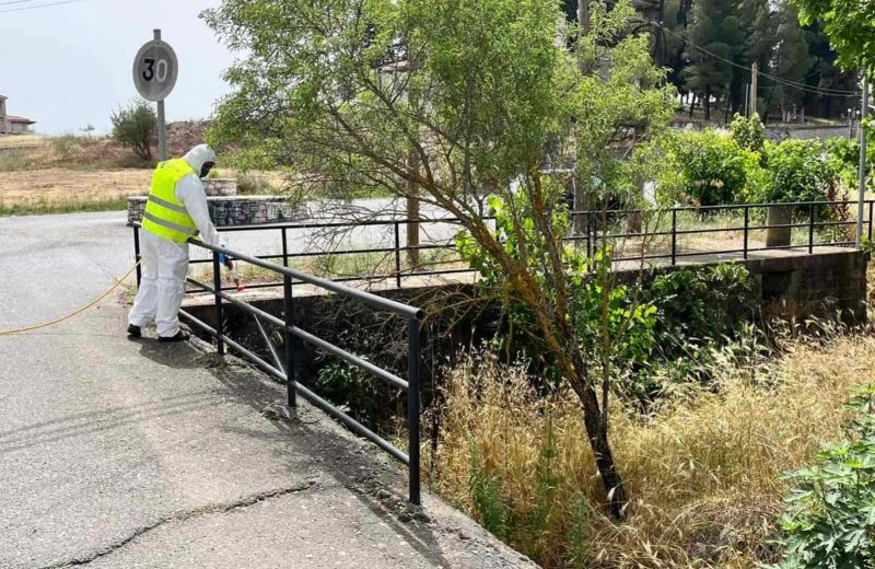 Ενημερωτική δράση για τους τρόπους πρόληψης κατά των κουνουπιών στα δημοτικά σχολεία του...